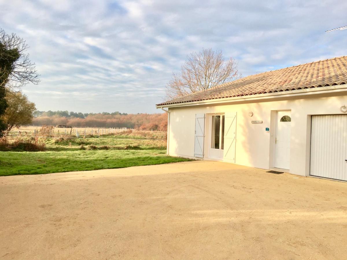 La Villa Landaise Sainte-Eulalie-en-Born Exteriér fotografie